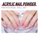 Bling Girl Rose Gold Acrylic Powder 10g*24pieces [6029]