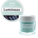 Bling Girl Luminous Acrylic Powder Nail Art System 10g #009 [3173]