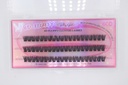 6D Fluffy Cluster Lashes 60D 8mm-C [S2508P06]