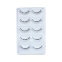Eyelash Kit [S2411P04]
