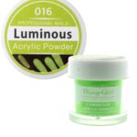 Bling Girl Luminous Acrylic Powder Nail Art System 10g #016 [3173]