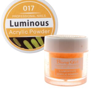 Bling Girl Luminous Acrylic Powder Nail Art System 10g #017 [3173]