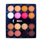 Micolor Blusher, Highlights, Concealer & Powder 16 Color Face Palette [S2404P42]
